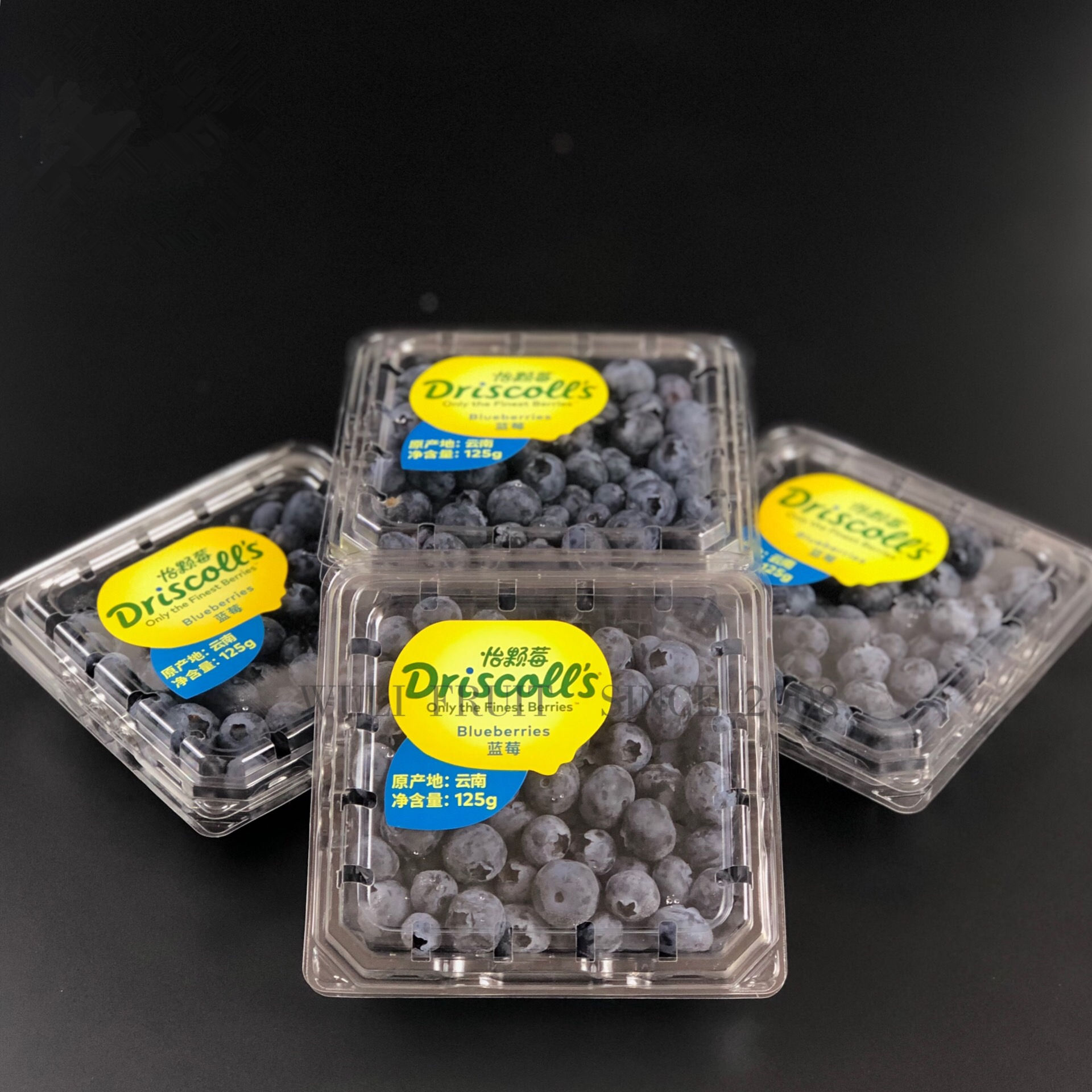 江苏沃田生物提供蓝莓原料，蓝莓冻果，蓝莓果干，蓝莓冻干，蓝莓浓缩汁，冻干蓝莓粉，花青素等 - FoodTalks食品供需平台
