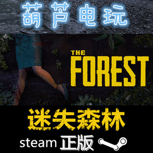 国区礼物STEAM正版 选什么牌子好 同款好推荐