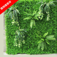 仿真植物背景墙 蕨草花草植物绿化墙面装饰塑