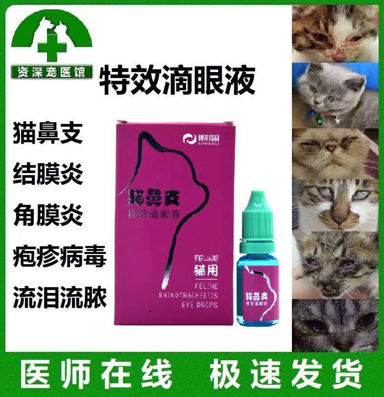 博莱得利猫鼻支滴眼液猫咪病毒杯状病毒感染结膜炎猫用眼药水