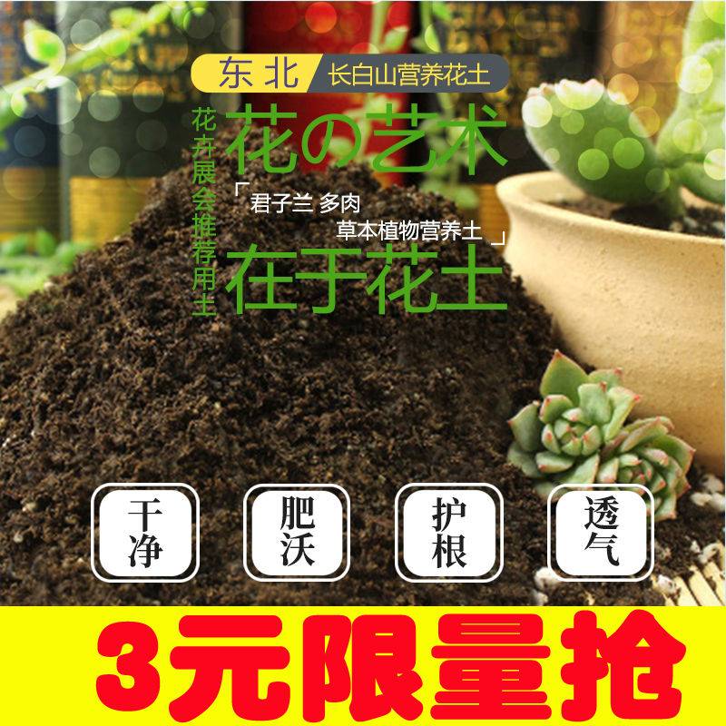 种多肉植物的土壤新品 种多肉植物的土壤价格 种多肉植物的土壤包邮 品牌 淘宝海外