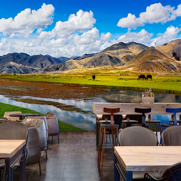 西藏布达拉宫建筑草原风景壁纸拉萨3d民族风餐厅饭店空间延伸墙纸