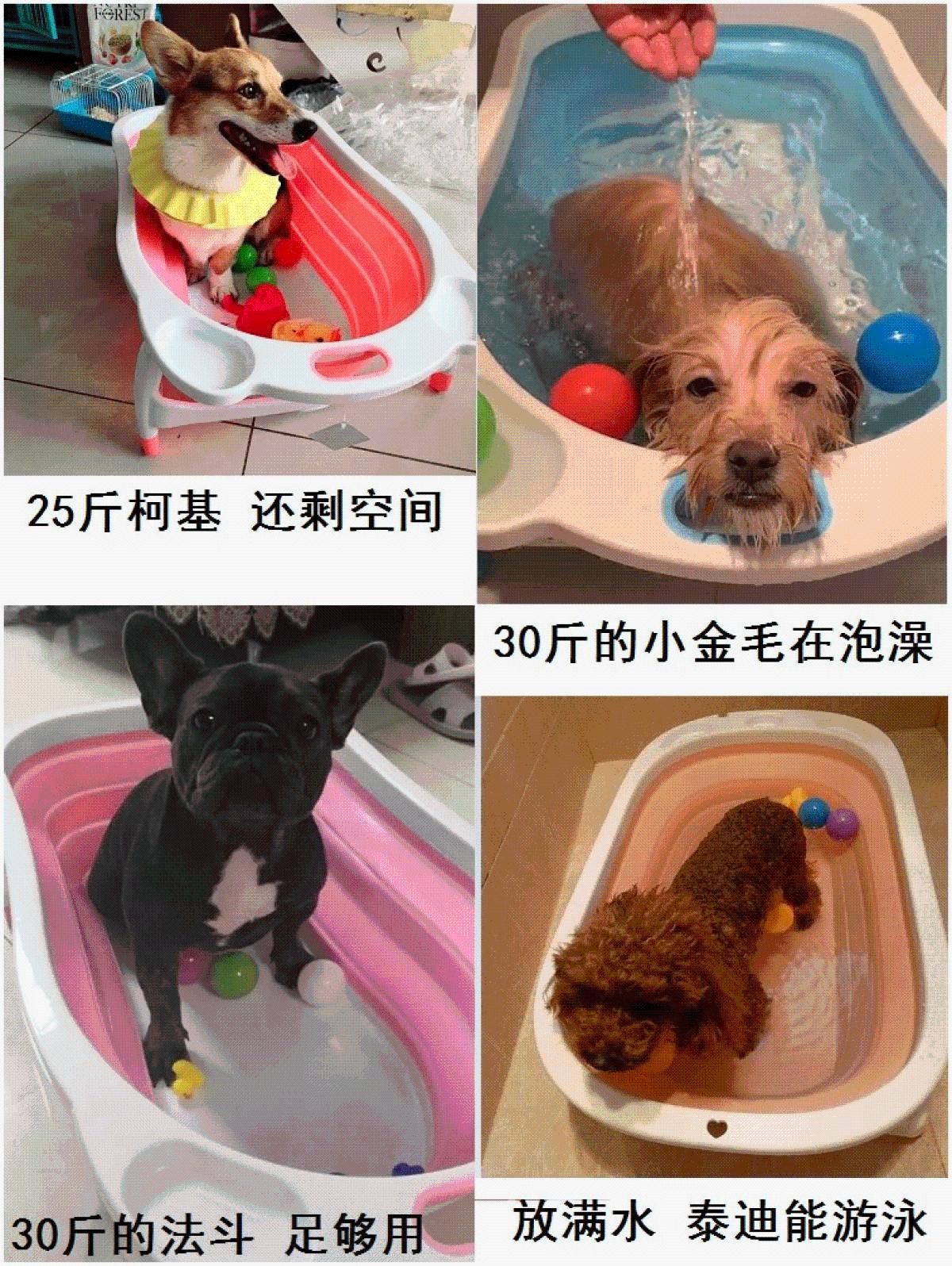 共265 件狗澡盆大型犬相关商品