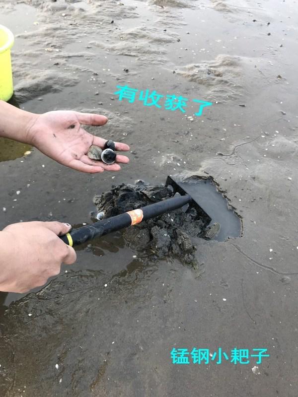 赶海工具抓螃蟹赶海工具沙滩挖蛤蜊蚬子挖螺小铁锹小铲子海耙子园