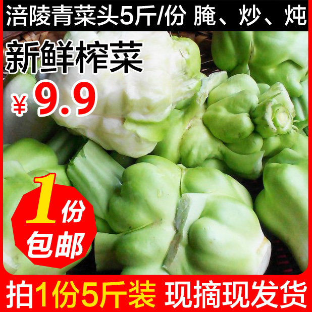 新鲜榨菜头 青菜头蔬菜 羊角菜芥菜菱角菜疙瘩大头菜 榨菜原料5斤