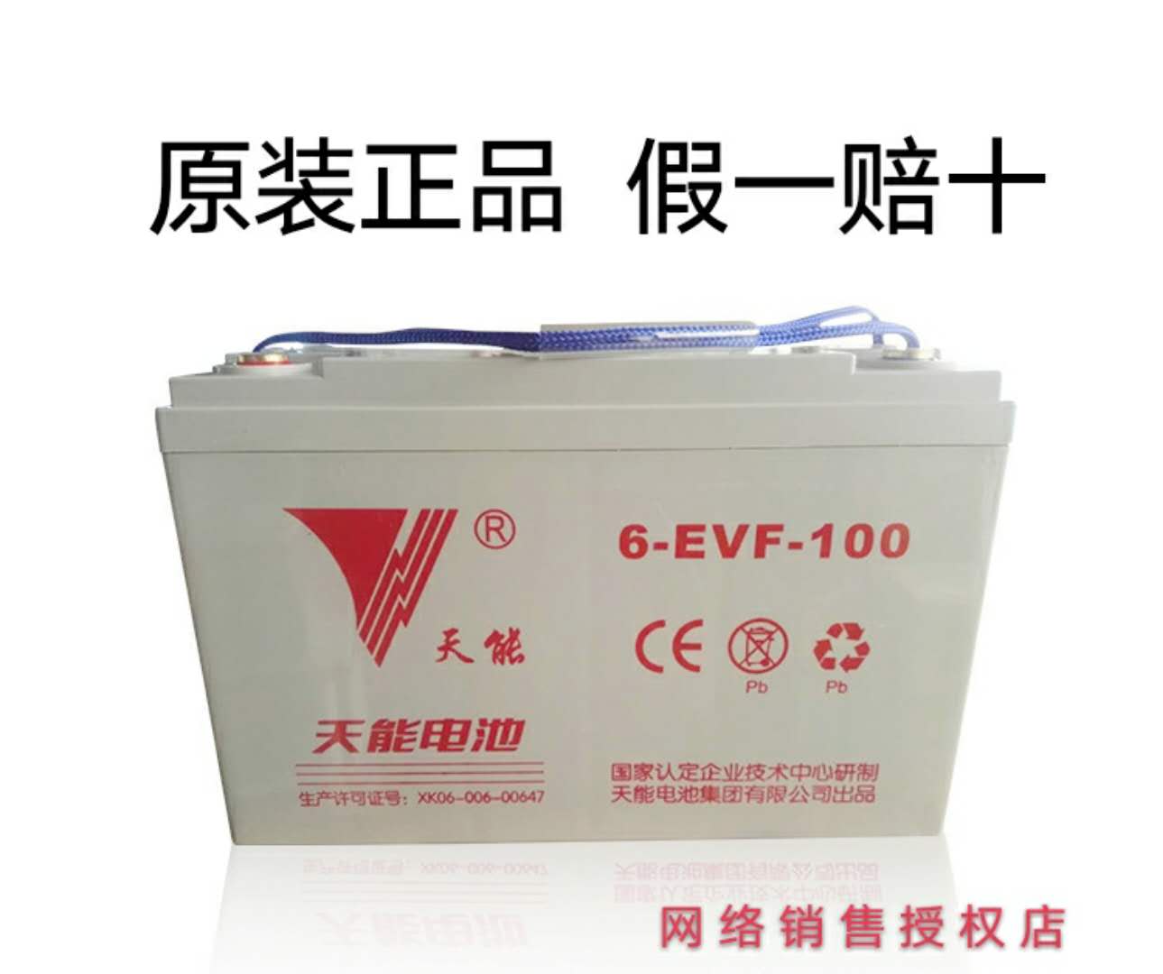 比德文雷丁电动汽车天能电池12v100安免维护胶体蓄电池电动三四轮