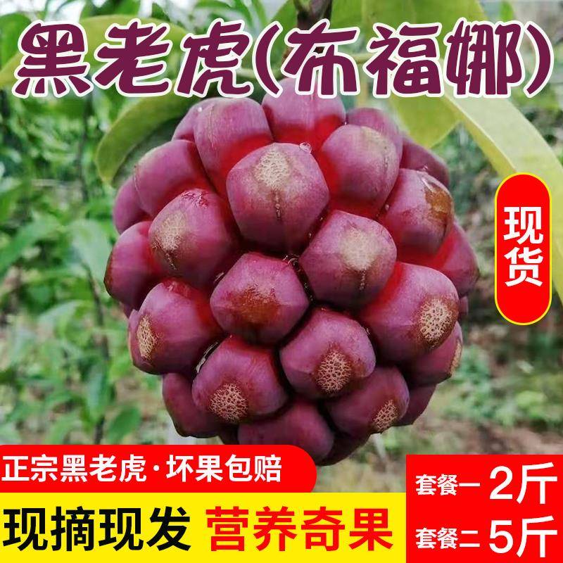 [鲜果]黑老虎果布福娜水果大血藤果魔果央视报道2斤,5斤产地直发