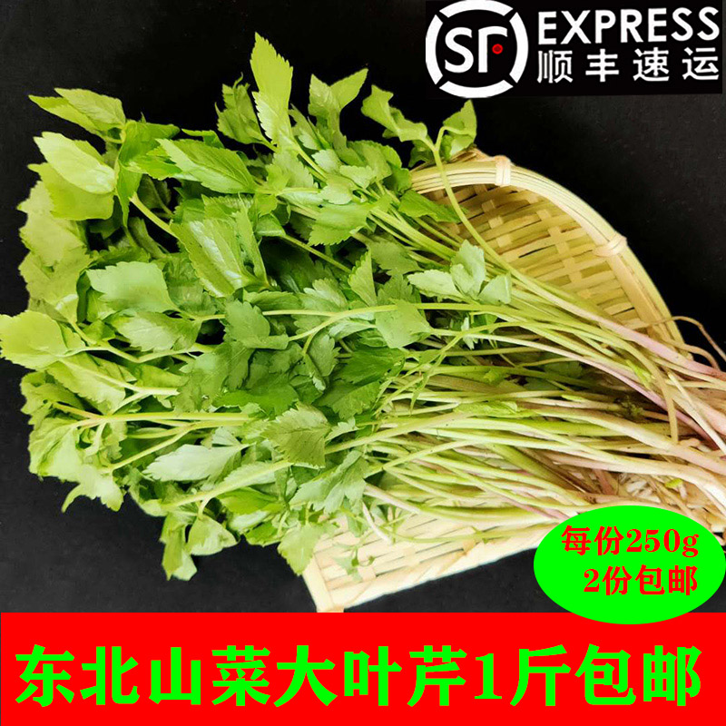 共169 件东北新鲜山菜相关商品