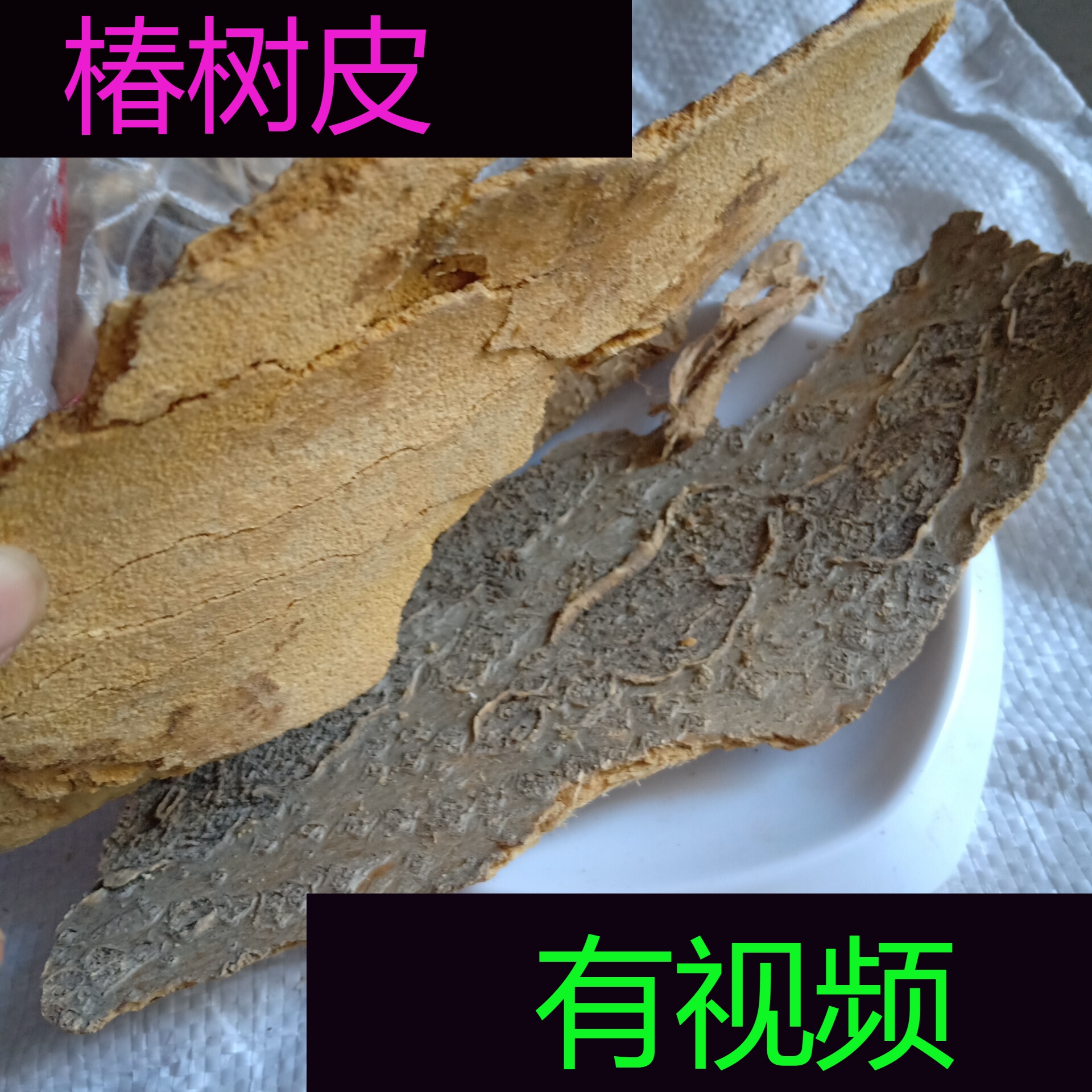 椿树皮别名椿跟皮\香椿皮\椿芽树皮\臭椿根皮\椿白皮\樗白皮\樗根