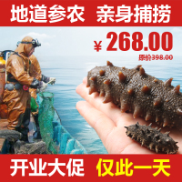 海尚壹品大连长海极品即食野生海参1500g30头