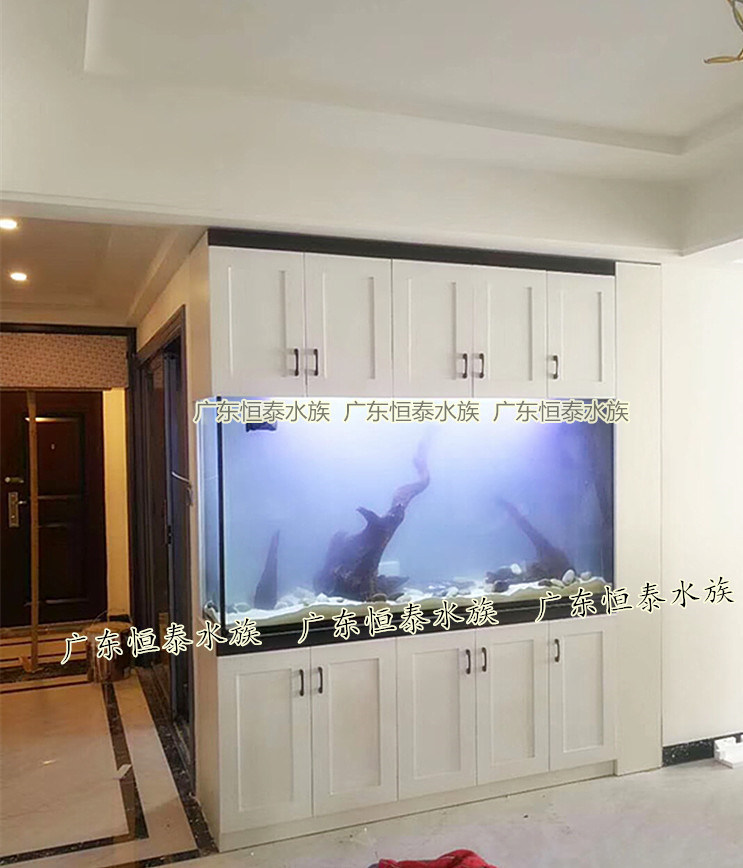 广州佛山订做鱼缸定做玻璃鱼缸客厅墙体鱼缸隔断玄关嵌入式鱼缸