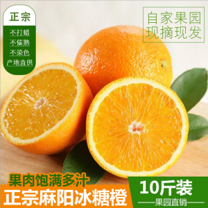 预约湖南冰糖橙麻阳橙子新鲜水果非永兴赣南脐橙10斤包邮现摘现发脐橙水果