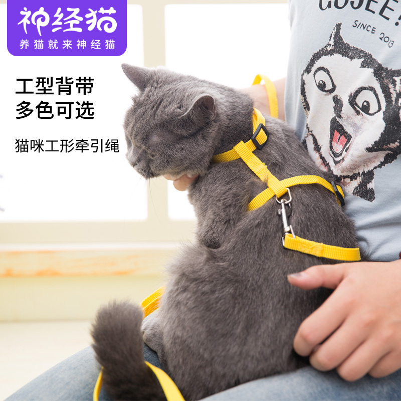 共1505 件猫牵引绳防挣脱相关商品