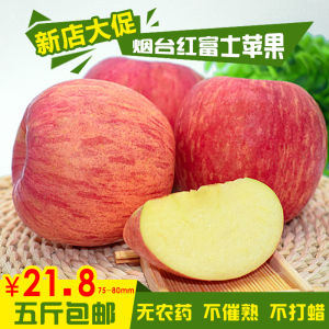 烟台栖霞红富士苹果水果现摘现发甜脆多汁山地苹果水果80#5斤包邮苹果水果