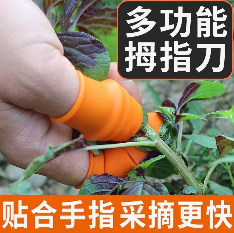 摘花椒专用神器手套手指套蚕豆穿戴式辣椒择菜枇杷剥皮采茶防护心