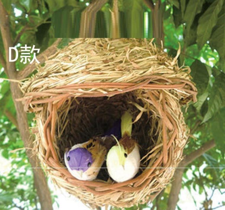 2、風水里麻雀是如何在屋簷下築巢的?