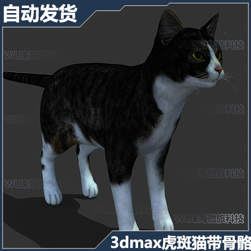 骨骼3d下载 骨骼3d设计 骨骼3d制作 素材 淘宝海外