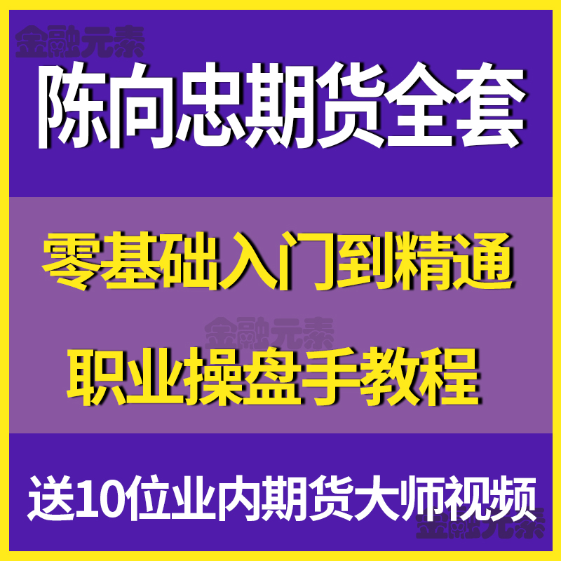 陈向忠期货分时图日内交易线下培训全套期货视频教程