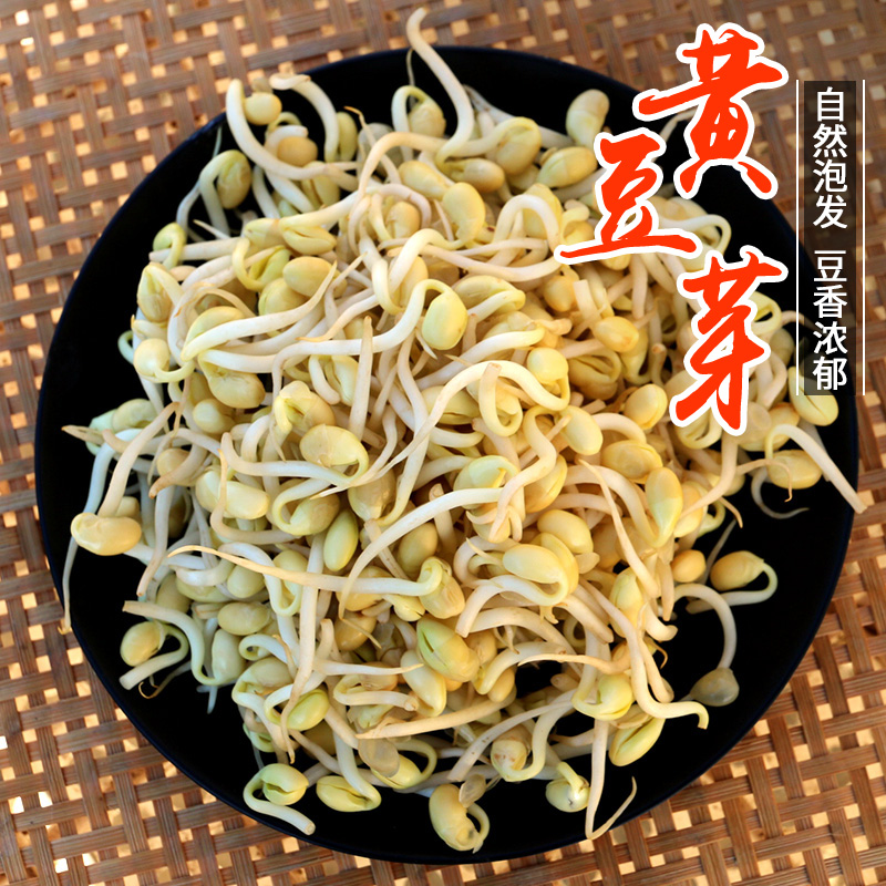 共1225 件发豆芽菜相关商品