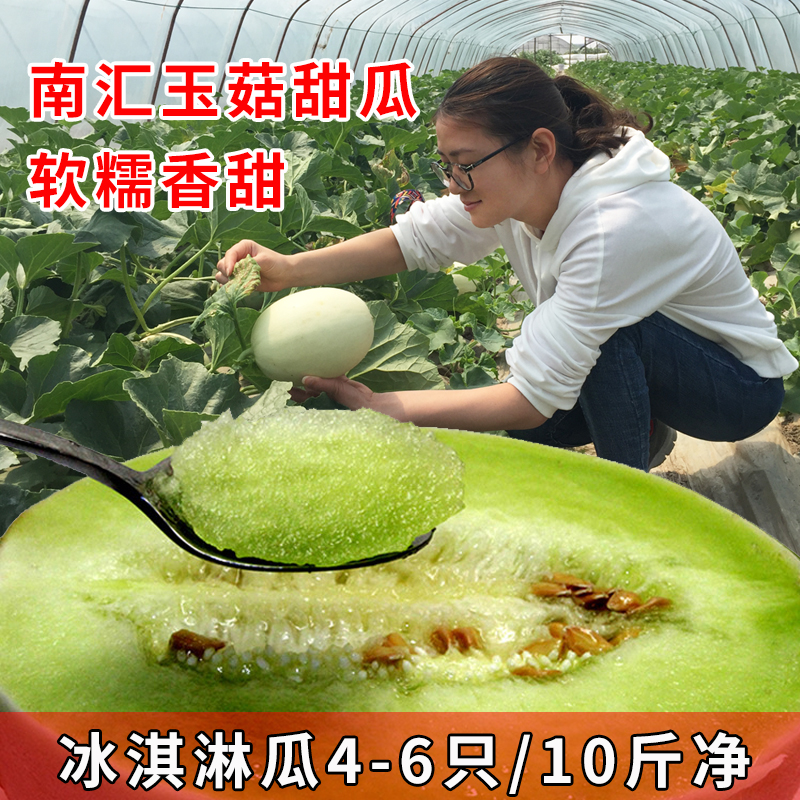 上海南汇玉菇甜瓜10斤新鲜包邮水果当季整箱香瓜应季绿哈密瓜蜜瓜