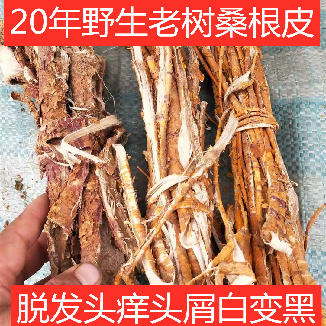 桑根桑葚有什么功效