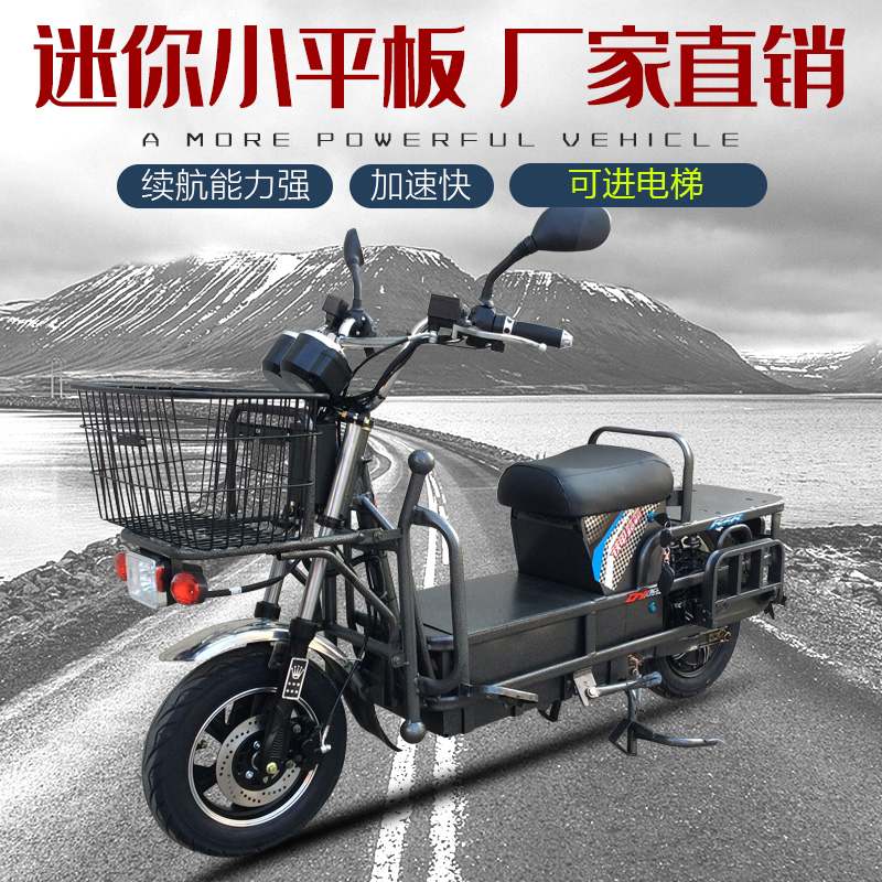 2020新款迷你小平板载重王电瓶车外卖专用两轮电动车大力神快递车