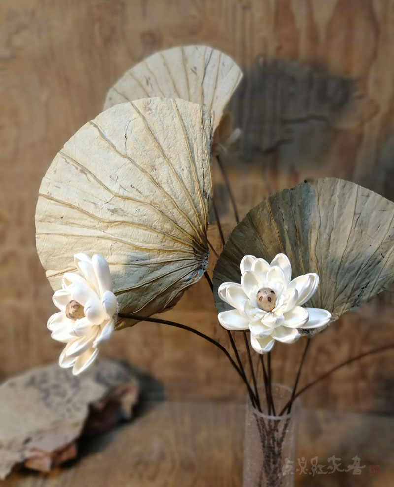 睡莲花束图片 睡莲花束意思 睡莲花束包装 价格 淘宝海外