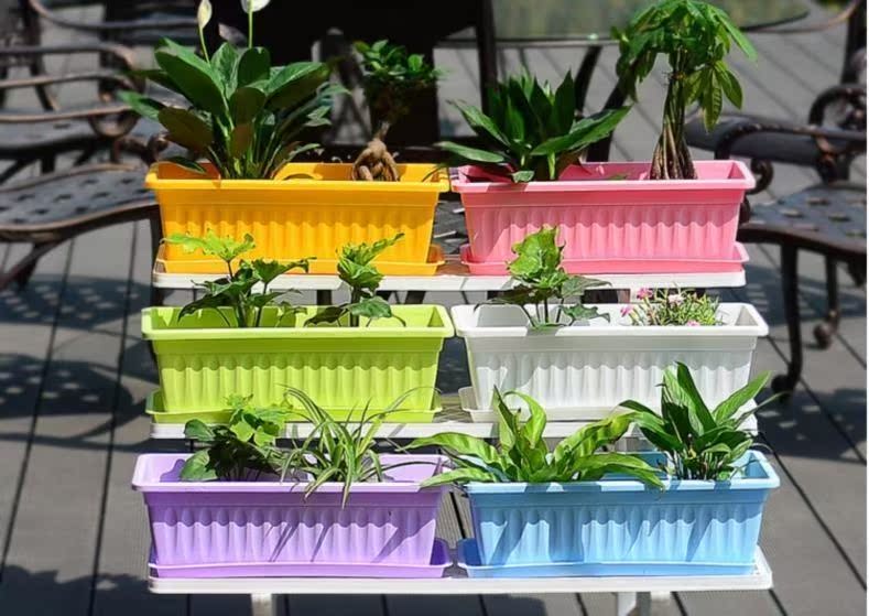 在家种菜的盆长方形太阳花盆长条型阳台专用长行塑料种植草莓箱