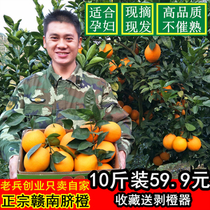 新鲜水果超甜多汁现摘现发赣南脐橙不催熟的孕妇橙子带箱10斤包邮脐橙水果