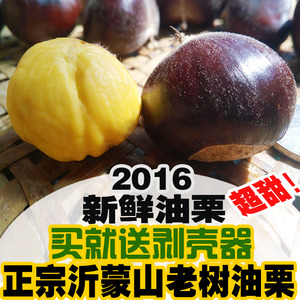2016沂蒙山农家特产正宗有机新鲜板栗生毛栗子坚果零食满五斤包邮板栗生