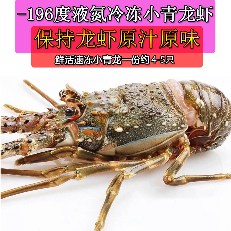 共108 件澳洲小青龙虾相关商品