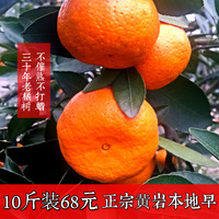 桔子正宗南丰蜜橘蜜桔砂糖橘蜜广涌泉新鲜水果