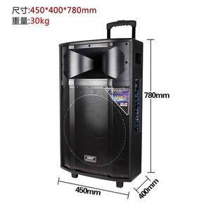 广场舞音响先科500W大选什么牌子好 同款好推