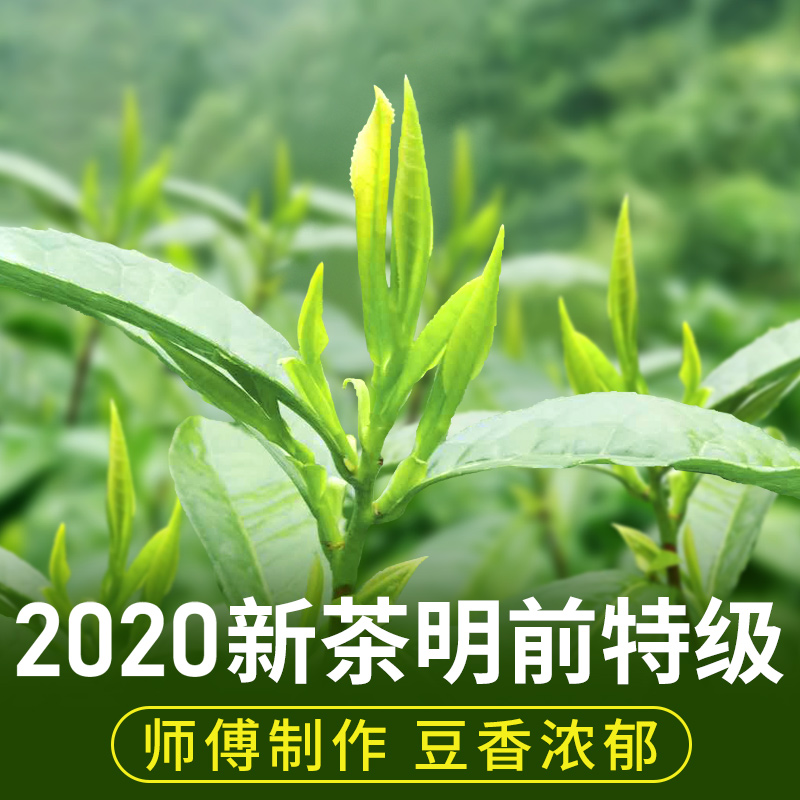 杭州正宗西湖龙井2020新茶现货茶农直销龙井绿茶明前特级茶叶250g