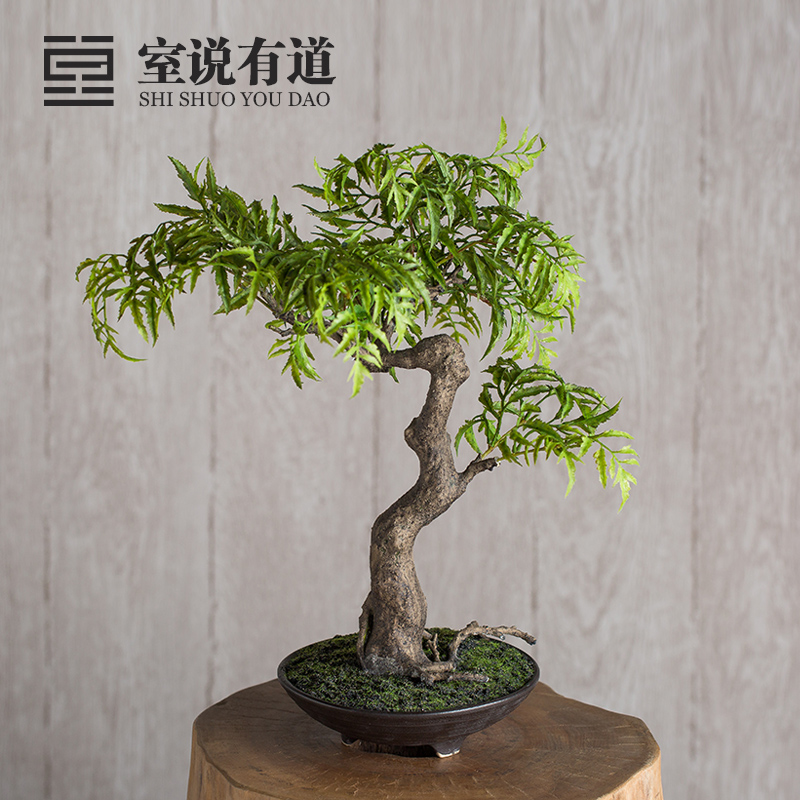 共932 件榕树盆景植物相关商品