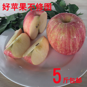 正宗山东红富士苹果无公害新鲜水果5斤装包邮 冰糖心苹果水果