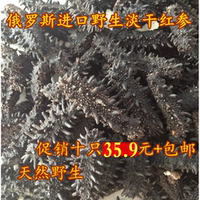 俄罗斯淡干海参 大红参6排刺20-30头500g 纯淡