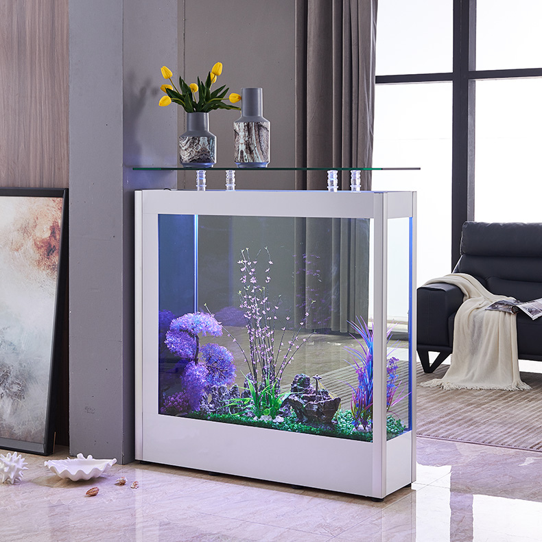 客厅家用长方形简约现代轻奢鱼缸大中型玻璃水族箱生态免换水玄关