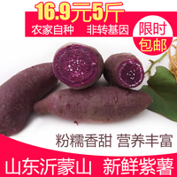 沂蒙紫薯番薯-蒙公社紫薯仔无添加地瓜干原味