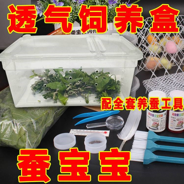 天然蚕宝宝饲养盒学生蚕卵桑叶工具手工变色七彩蚕饲料透气五彩