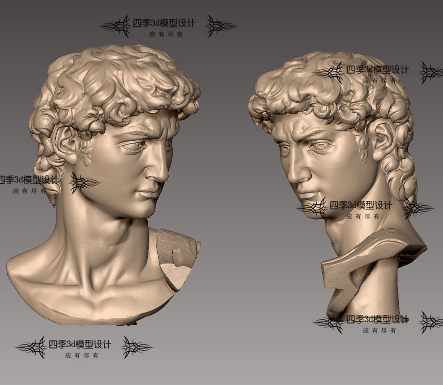 古希腊罗马雕塑大卫头像男子3d打印模型stl圆雕zb三维立体图obj