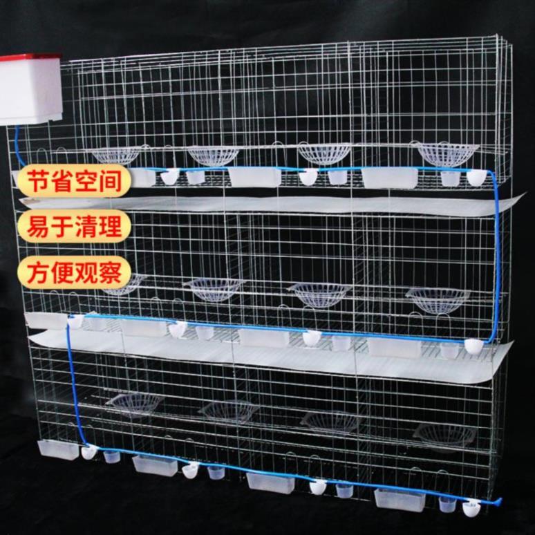 鸽子笼子养殖笼家用特大三层送鹩哥木制阳台加大集鸽舍塑料种鸽笼