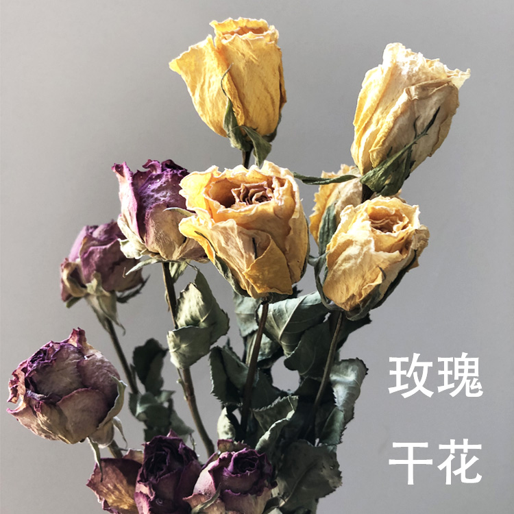 共249 件风干玫瑰花真花相关商品