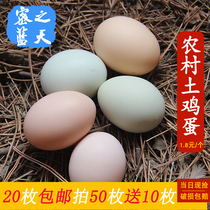 正宗农家土鸡蛋散养柴鸡蛋笨鸡蛋乌骨鸡蛋虫草蛋拍50枚送10枚包邮