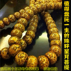 海南老陈籽星月菩提子项链108颗菩提子手串男女款佛珠手链毛衣链佛珠