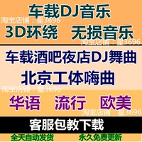 1中文版本Dj舞曲-视频汽车音乐U盘16G北京工