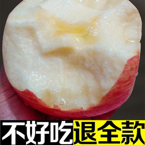 85#无蜡10斤装山东烟台栖霞红富士苹果甜脆吃的包邮新鲜水果送礼苹果水果