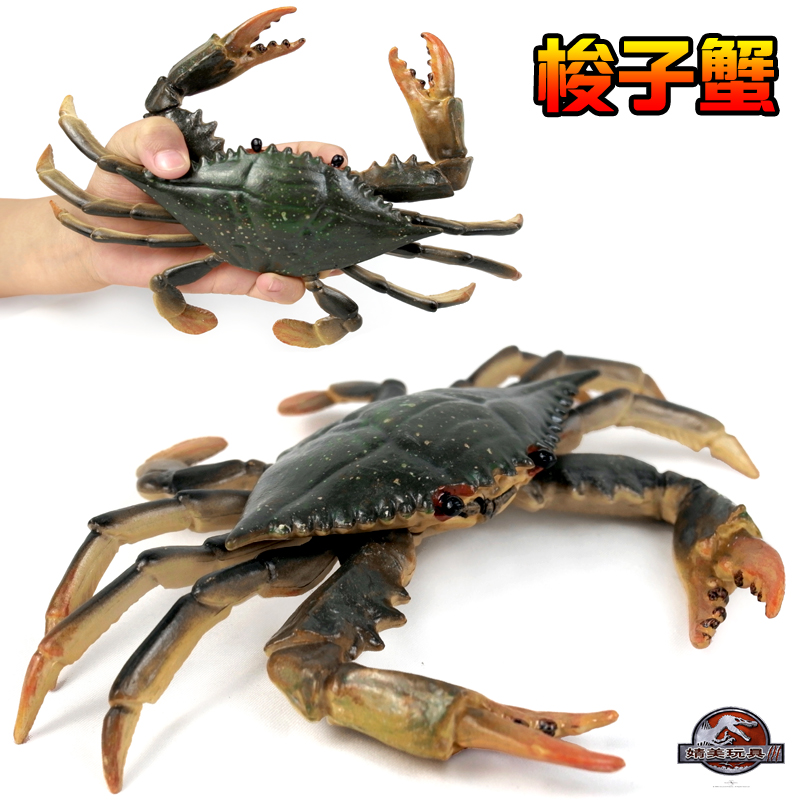 共2734 件螃蟹玩具相关商品