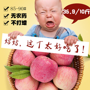陕西礼泉洛川红富士大苹果新鲜水果冰糖心胜烟台阿克苏10斤装苹果水果