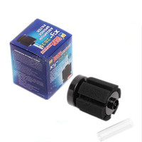 水水斗鱼坊 精选红虫干赤虫干 斗鱼饲养小型热